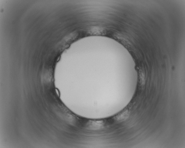 X0000062840665200601272017