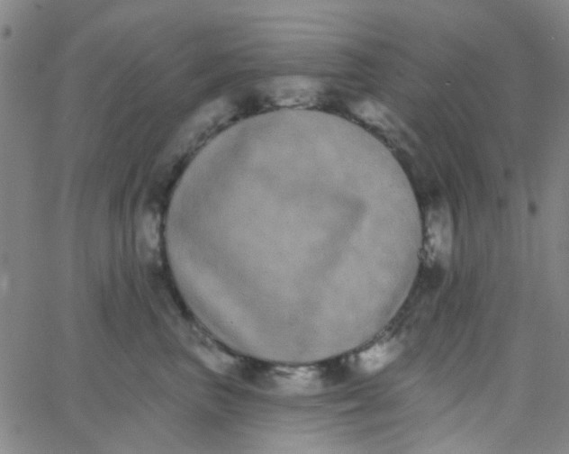 X0000062840667200601272017