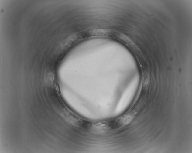 X0000062840669200601272018