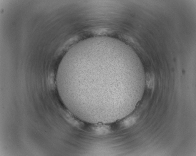 X0000062840670200601272018