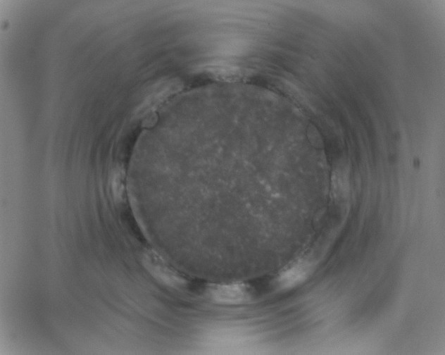 X0000062840671200601272018