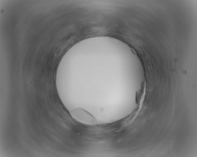 X0000062840672200601272018