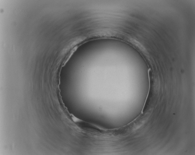 X0000062840673200601272017