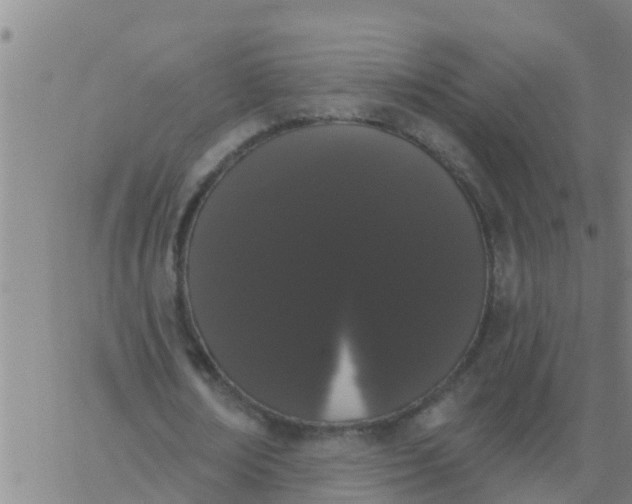 X0000062840674200601272017