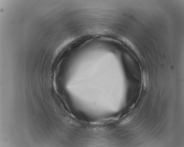 X0000062840675200601272017