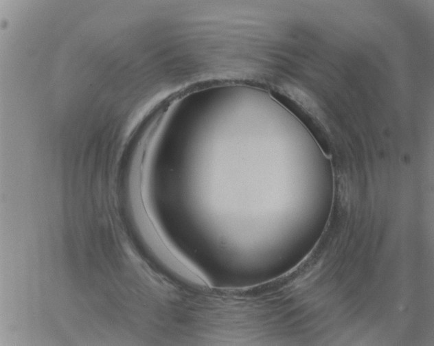 X0000062840676200601272017