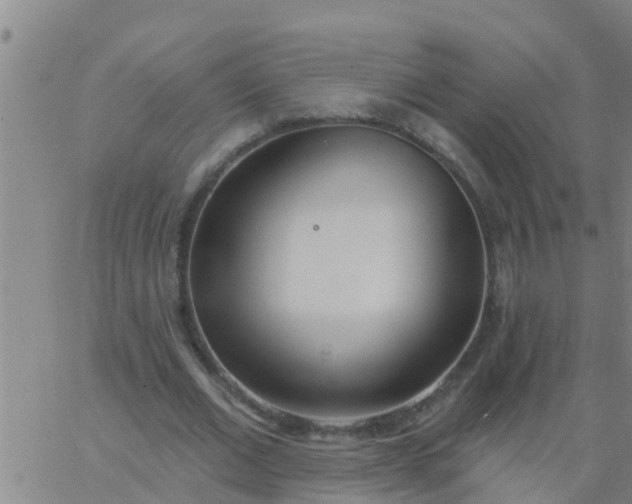 X0000062840677200601272017