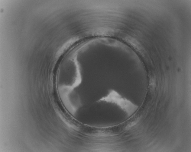 X0000062840678200601272017