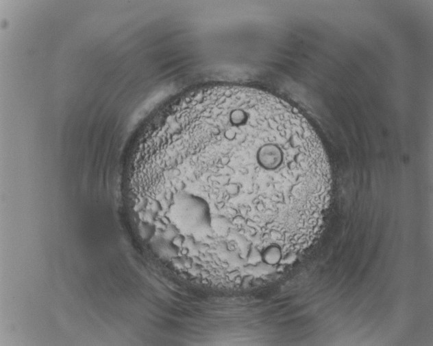 X0000062840679200601272017