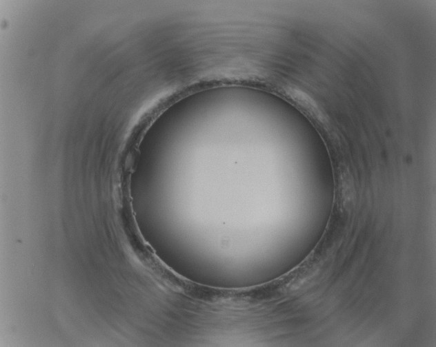 X0000062840680200601272017