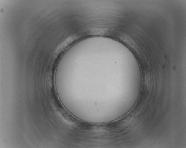 X0000062840682200601272017