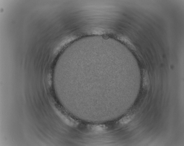 X0000062840683200601272017