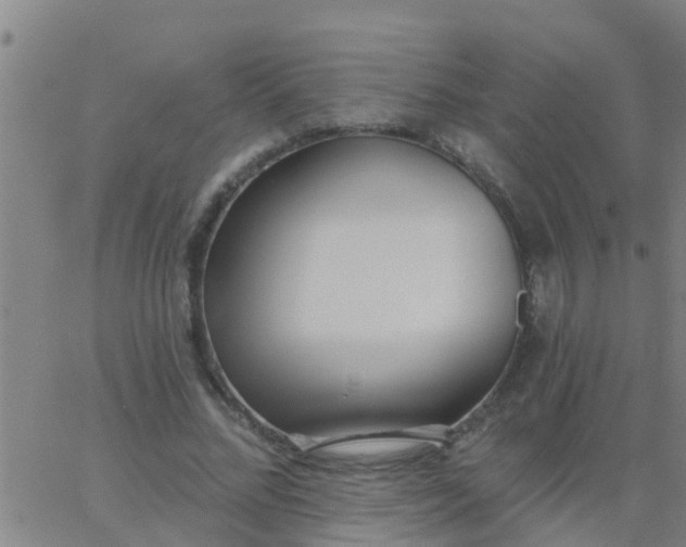 X0000062840684200601272017