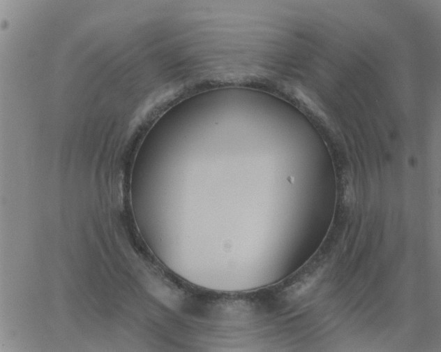 X0000062840685200601272017