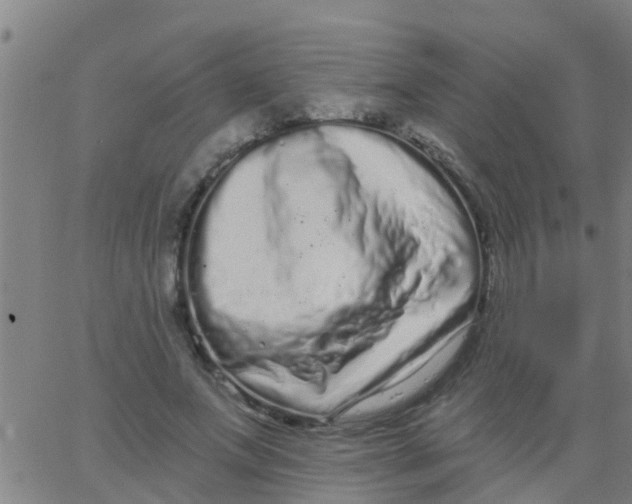 X0000062840687200601272017