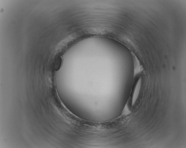 X0000062840688200601272017