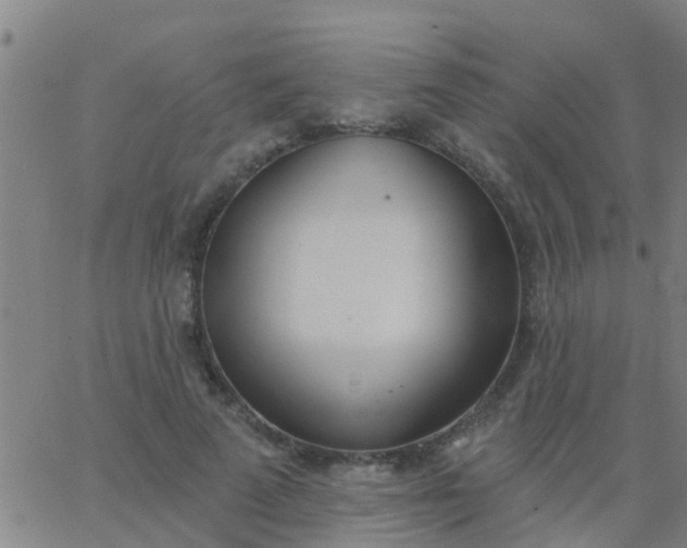 X0000062840689200601272017