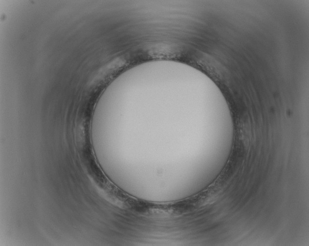 X0000062840690200601272016