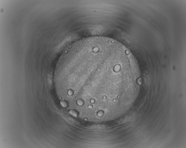 X0000062840691200601272016