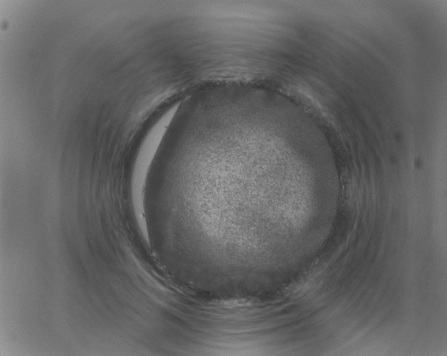 X0000062840692200601272016