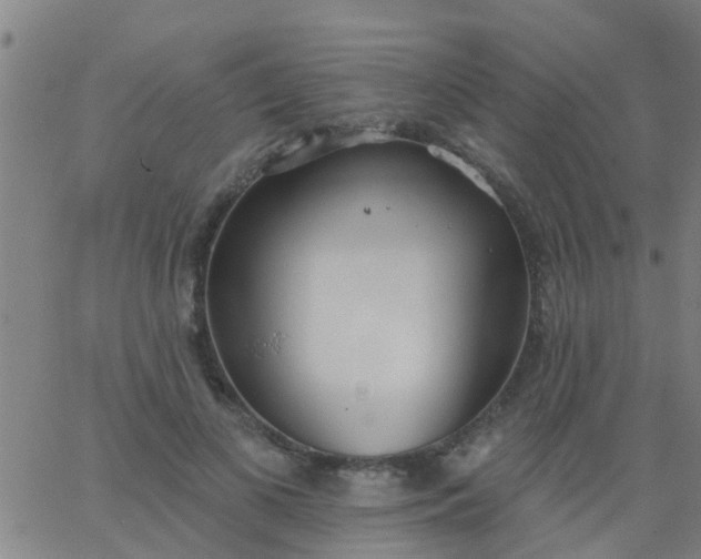 X0000062840693200601272016