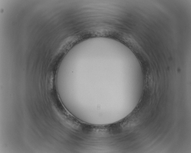 X0000062840694200601272016