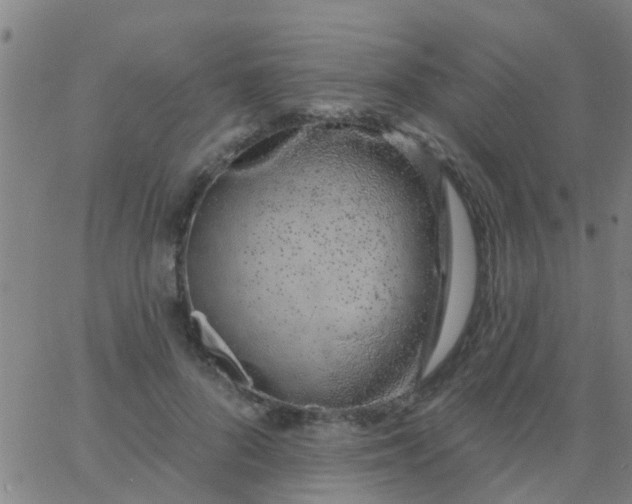 X0000062840696200601272016