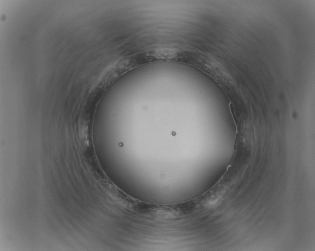 X0000062840697200601272016