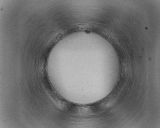 X0000062840698200601272016