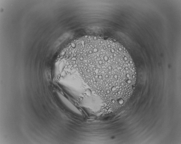 X0000062840699200601272016