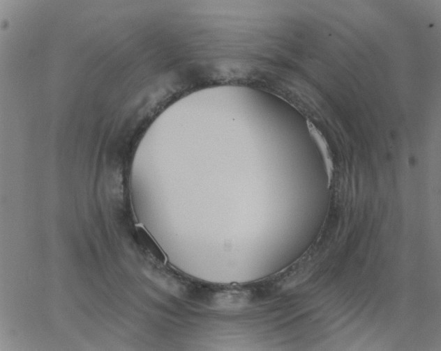 X0000062840700200601272016