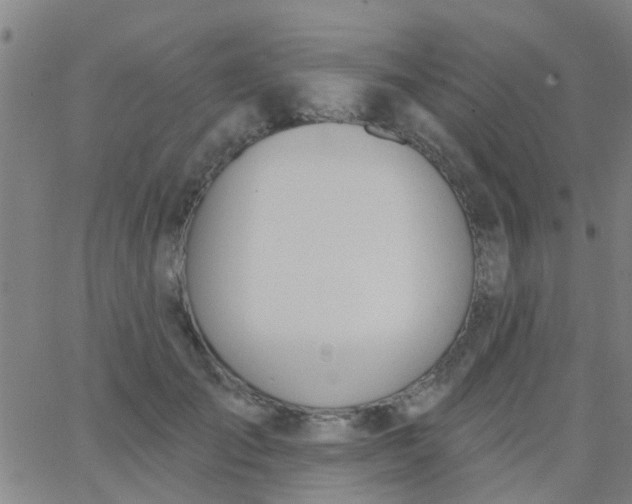 X0000062840701200601272016