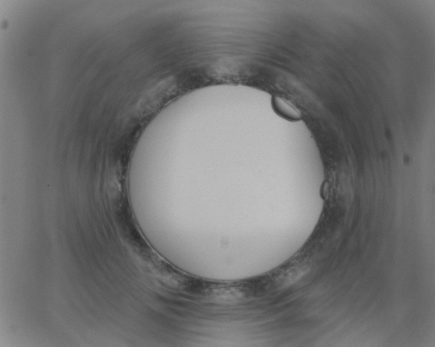 X0000062840702200601272016