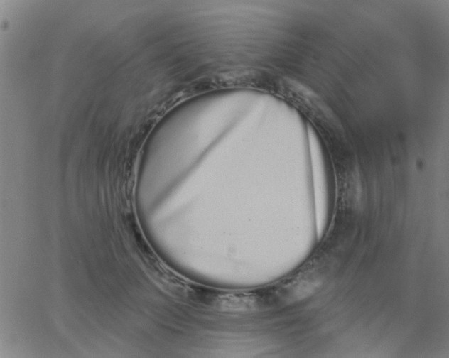 X0000062840703200601272016