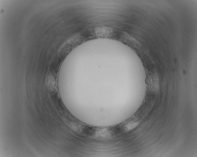 X0000062840705200601272016