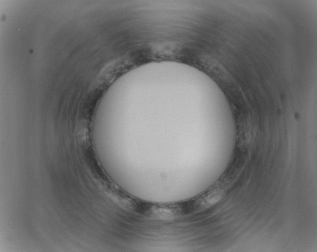 X0000062840706200601272016