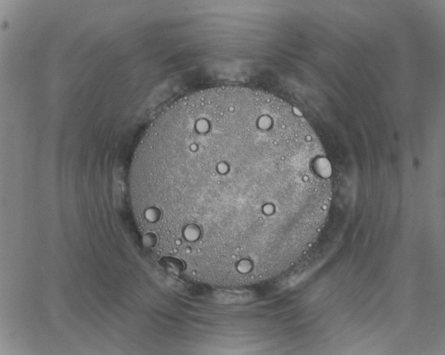 X0000062840707200601272016