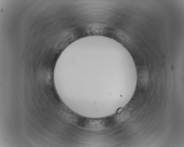 X0000062840709200601272016