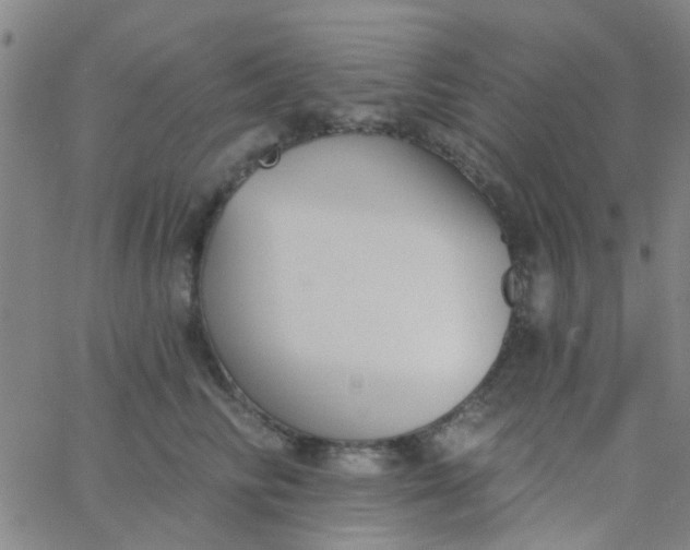 X0000062840710200601272016