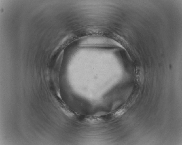 X0000062840712200601272016