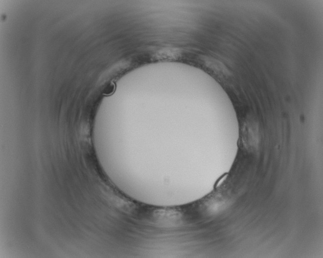 X0000062840714200601272016