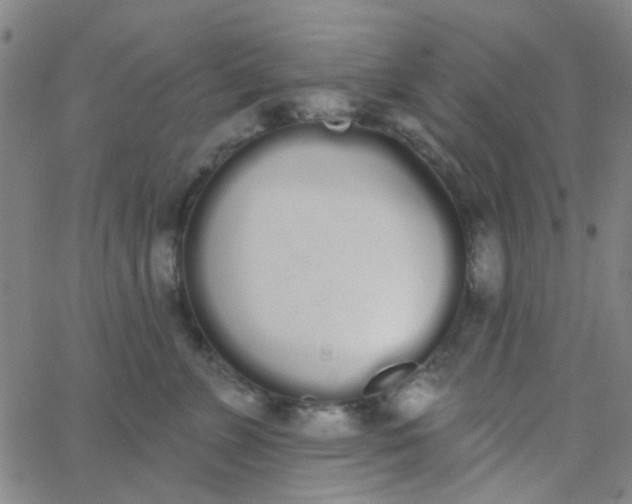 X0000062840715200601272016