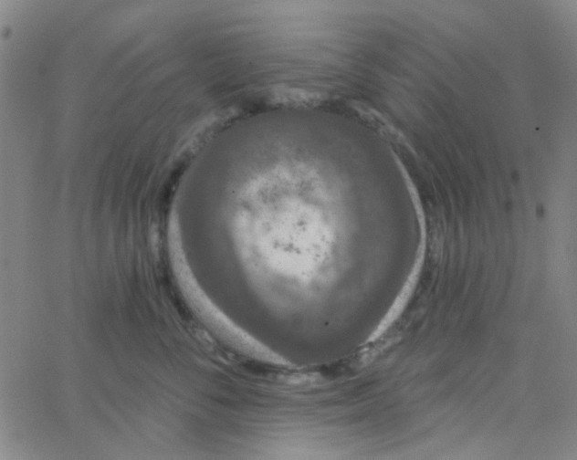 X0000062840716200601272016