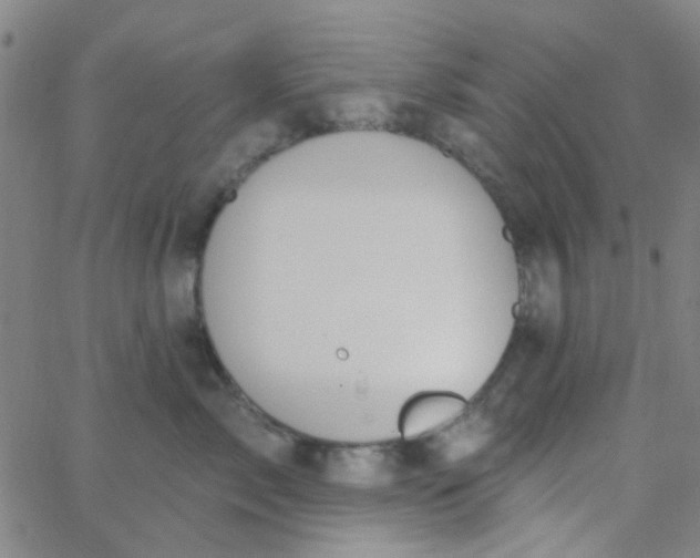 X0000062840717200601272016