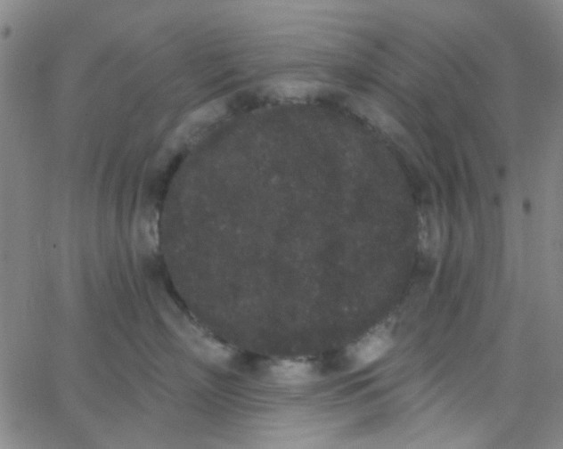 X0000062840718200601272016