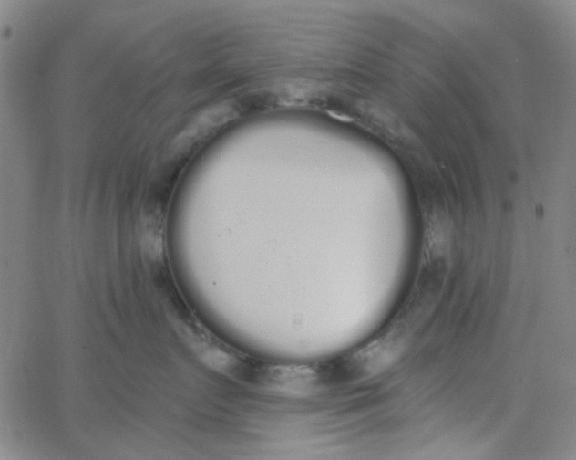 X0000062840719200601272016