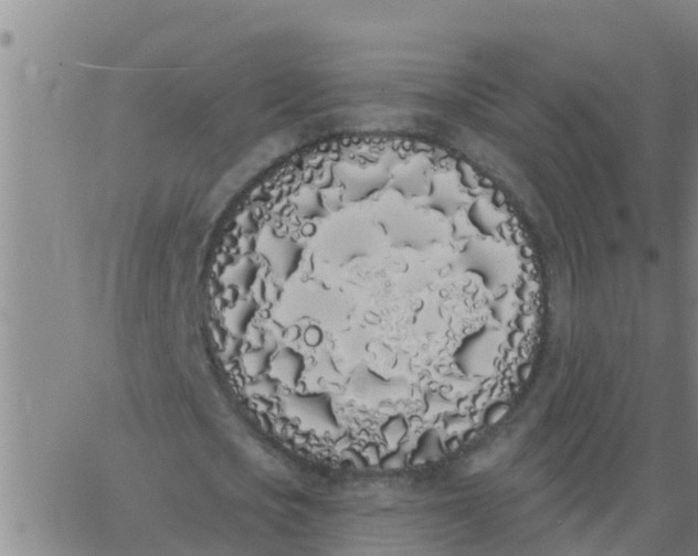 X0000062840721200601272015