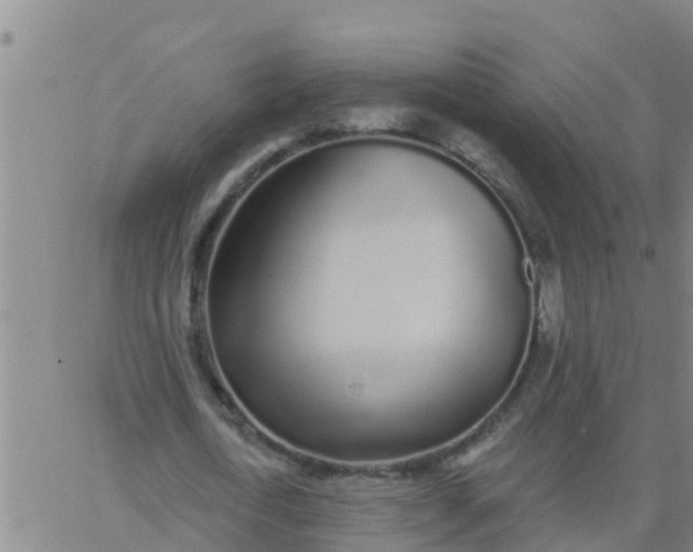 X0000062840722200601272015