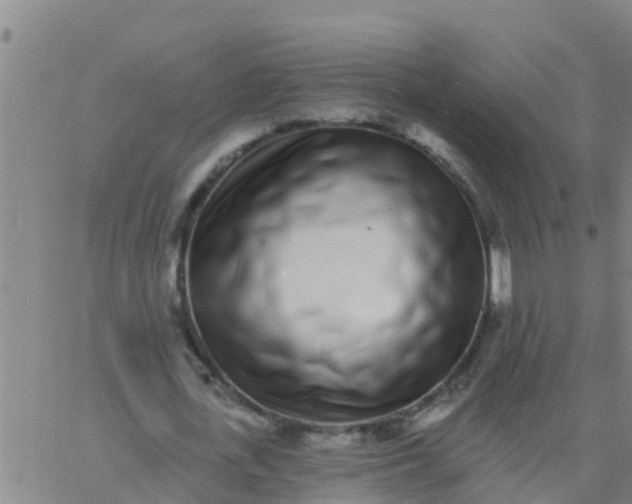 X0000062840723200601272015