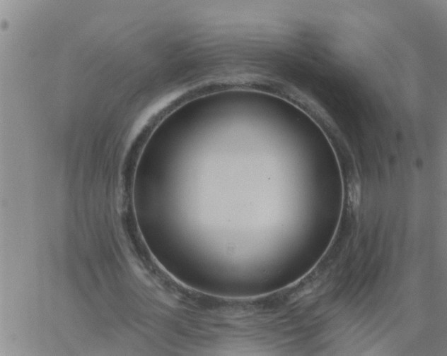 X0000062840724200601272015